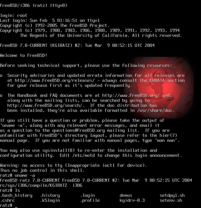 FreeBSD console 1024x768x8