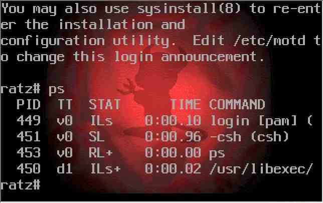 FreeBSD console 320x200x8